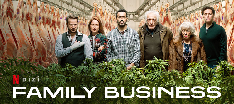 serie netflix family business