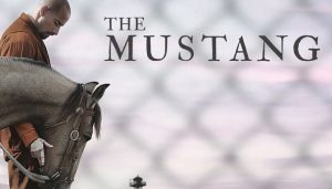 Mustang Yabani At film konusu, oyuncuları, yorumları, sinemalar, ekşi, fragman, türkçe altyazılı izle, serisi, Netflix e var mı, The Mustang, izle fragman, konusu, imdb gibi aramalarınız için yorumguncel.com'da kalın.