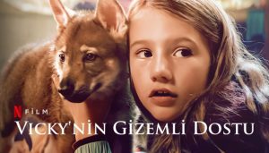 Vicky'nin Gizemli Dostu film, konusu, oyuncuları, karakterleri, cast, yorumları, Ekşi, incelemesi, IMDb puanı, fragmanı, izle gibi aramalarınıza YORUM GÜNCEL'den yanıt bulabilirsiniz.