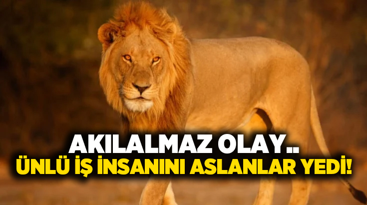 Akılalmaz olay.. Ünlü iş insanını aslanlar yedi!