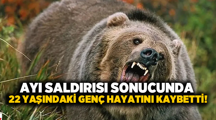 Ayı saldırısı sonucunda 22 yaşındaki genç hayatını kaybetti!
