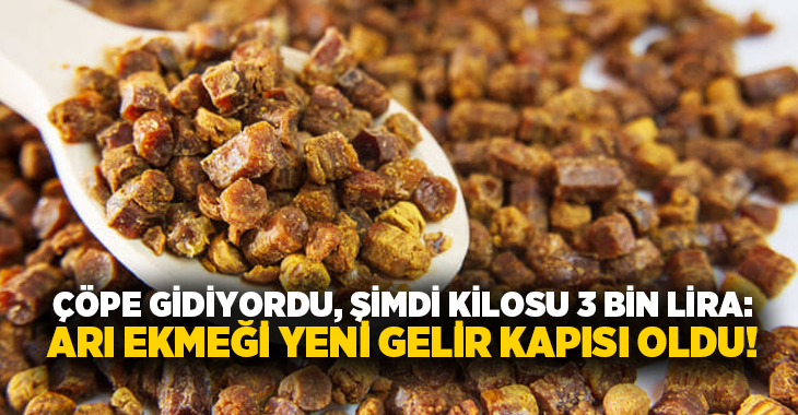Çöpe gidiyordu, şimdi kilosu 3 bin lira: Arı ekmeği yeni gelir kapısı oldu!