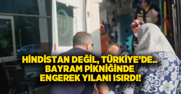 Hindistan değil, Türkiye’de.. Bayram pikniğinde engerek yılanı ısırdı!