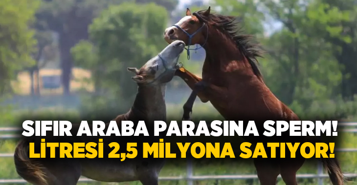 Sıfır araba parasına sperm! Litresi 2,5 milyona satıyor!