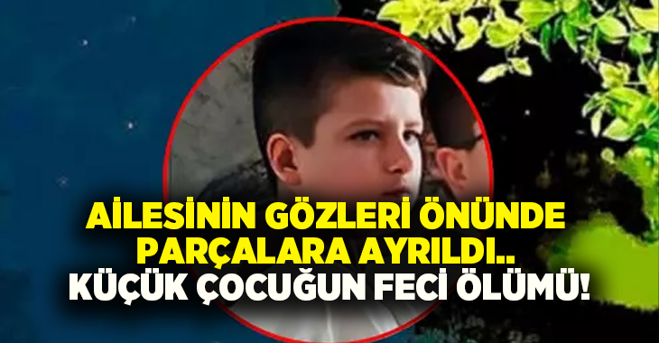Ailesinin gözleri önünde parçalara ayrıldı.. Küçük çocuğun feci ölümü!