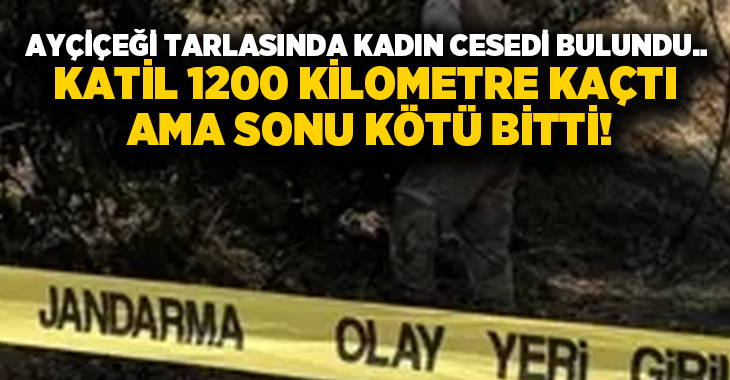 Ayçiçeği tarlasında kadın cesedi bulundu.. Katil 1200 kilometre kaçtı ama sonu kötü bitti!