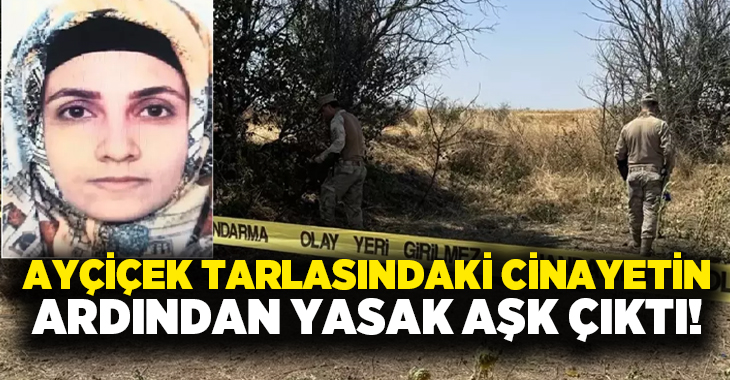Ayçiçek tarlasındaki cinayetin ardından yasak aşk çıktı!