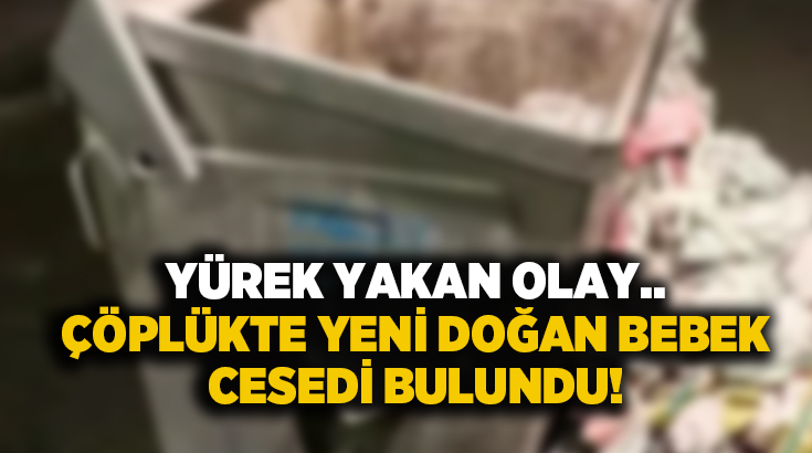 Çöplükte yeni doğan bebek cesedi bulundu!