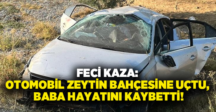 Feci Kaza: Otomobil zeytin bahçesine uçtu, baba hayatını kaybetti!
