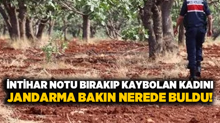İntihar notu bırakıp kaybolan kadını jandarma bakın nerede buldu!
