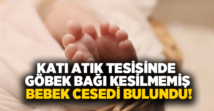 Katı atık tesisinde göbek bağı kesilmemiş bebek cesedi bulundu!