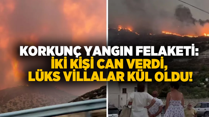 Korkunç yangın felaketi: İki kişi can verdi, Lüks villalar kül oldu!