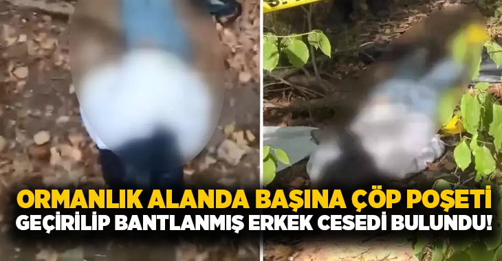 Ormanlık alanda başına çöp poşeti geçirilip bantlanmış erkek cesedi bulundu!