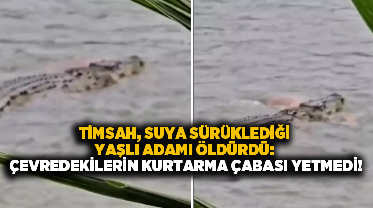 Timsah, suya sürüklediği yaşlı adamı öldürdü: Çevredekilerin kurtarma çabası yetmedi!