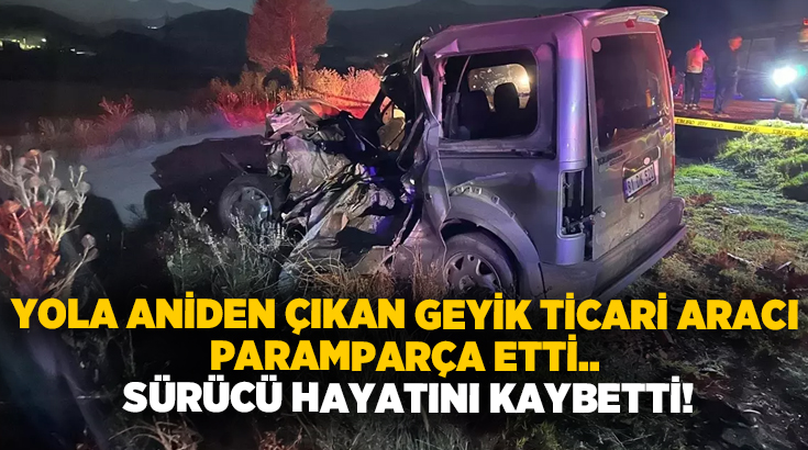 Yola aniden çıkan geyik ticari aracı paramparça etti.. Sürücü hayatını kaybetti!