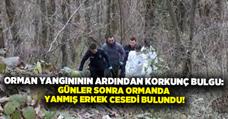 Orman yangınının ardından korkunç bulgu: Günler sonra ormanda erkek cesedi bulundu!
