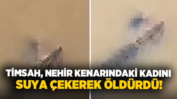 Timsah, nehir kenarındaki kadını suya çekerek öldürdü!