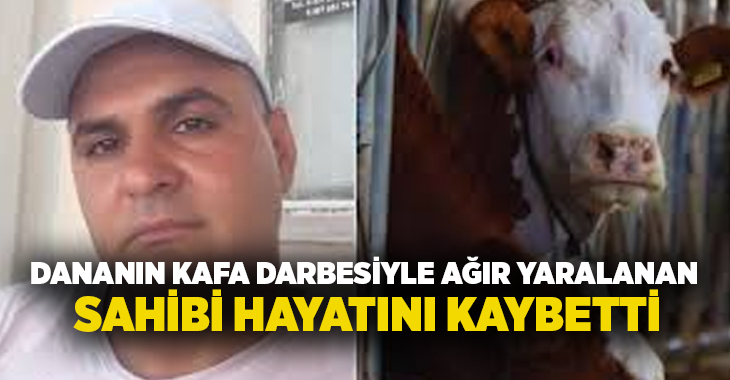 Dananın kafa darbesiyle ağır yaralanan sahibi hayatını kaybetti!