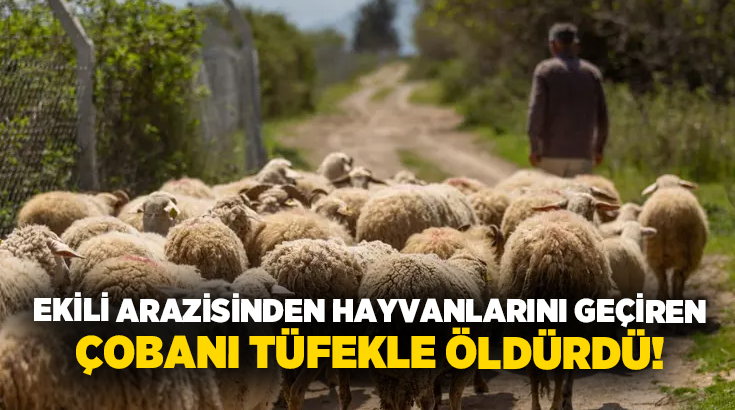 Ekili arazisinden hayvanlarını geçiren çobanı tüfekle öldürdü!
