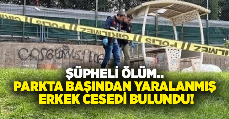 Şüpheli ölüm.. Parkta başından yaralanmış erkek cesedi bulundu!