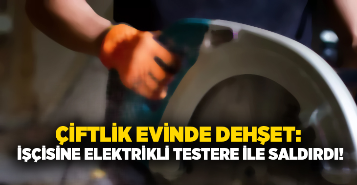 Çiftlik evinde dehşet: İşçisine elektrikli testere ile saldırdı!
