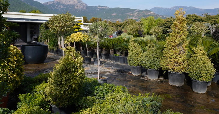 Doğayla Bütünleşen Peyzaj Tasarım Verdeon Garden ile Peyzaj Alanya Antalya ve Manavgat