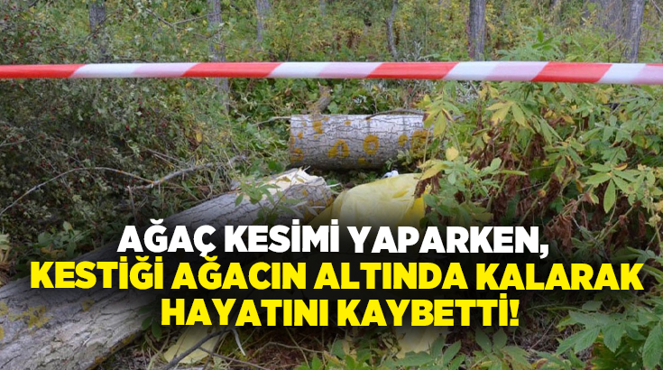 Ağaç kesimi yaparken, kestiği ağacın altında kalarak hayatını kaybetti!