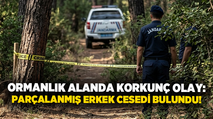 Ormanlık alanda korkunç olay: Parçalanmış erkek cesedi bulundu!