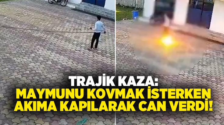 Trajik kaza: Maymunu kovmak isterken akıma kapılarak can verdi!