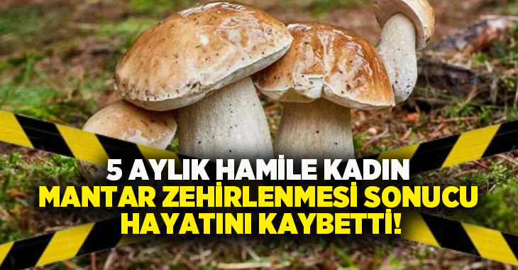 5 aylık hamile kadın mantar zehirlenmesi sonucu hayatını kaybetti!