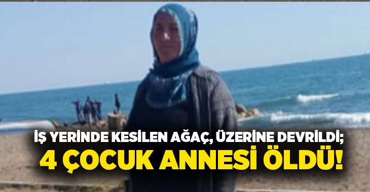 İş yerinde kesilen ağaç, üzerine devrildi; 4 çocuk annesi öldü!