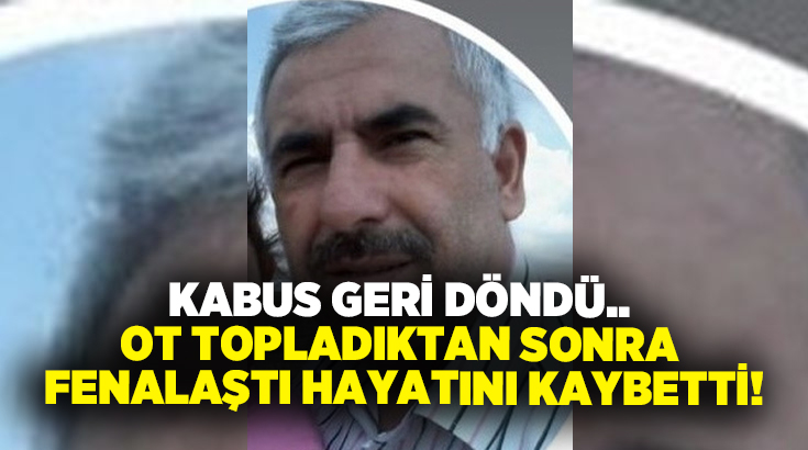 Kabus geri döndü.. Ot topladıktan sonra fenalaştı hayatını kaybetti!