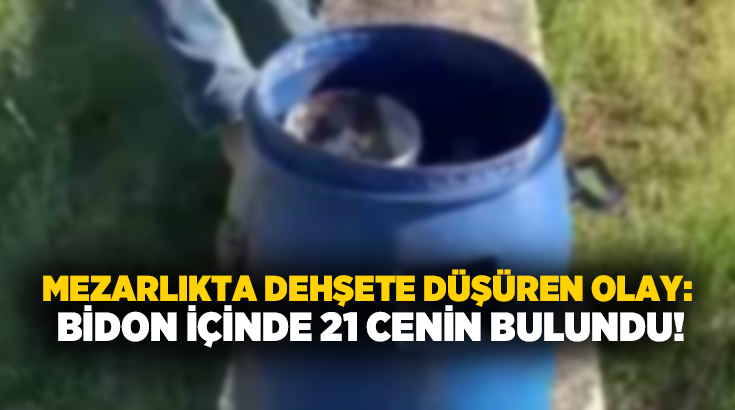 Mezarlıkta dehşete düşüren olay: Bidon içinde 21 cenin bulundu!