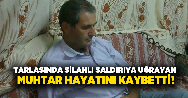 Tarlasında silahlı saldırıya uğrayan muhtar hayatını kaybetti!