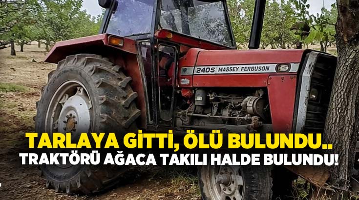 Tarlaya gitti, ölü bulundu.. Traktörü ağaca takılı halde bulundu!