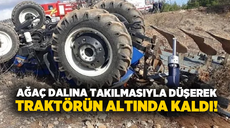 Ağaç dalına takılmasıyla düşerek traktörün altında kaldı!