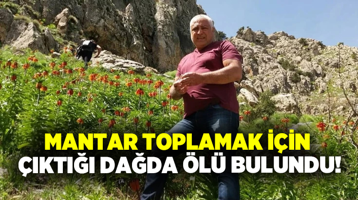 Mantar toplamak için çıktığı dağda ölü bulundu!