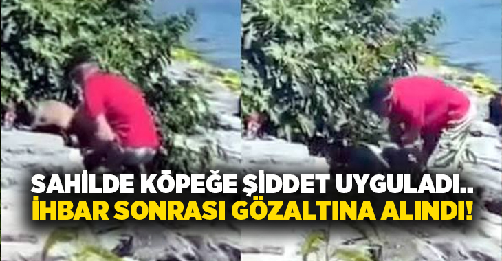 Sahilde köpeğe şiddet uyguladı.. İhbar sonrası gözaltına alındı!