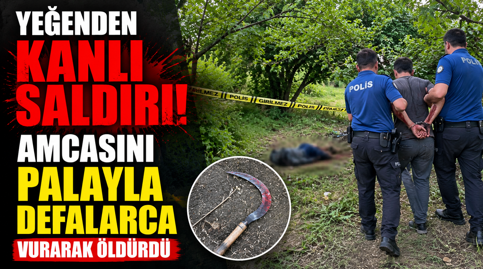 Yeğenden kanlı saldırı.. Amcasını palayla defalarca vurarak öldürdü!