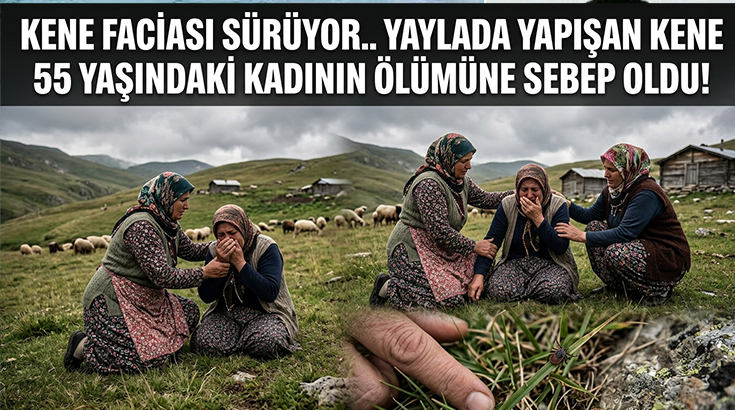 Kene faciası sürüyor.. Yaylada yapışan kene 55 yaşındaki kadının ölümüne sebep oldu!