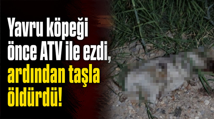 Yavru köpeği önce ATV ile ezdi, ardından taşla öldürdü!