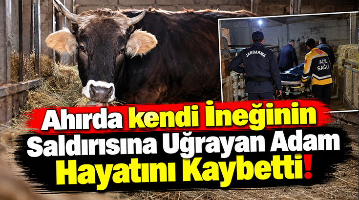 Ahırda kendi ineğinin saldırısına uğrayan adam hayatını kaybetti!